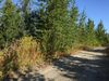63727 Oil Well Rd photo